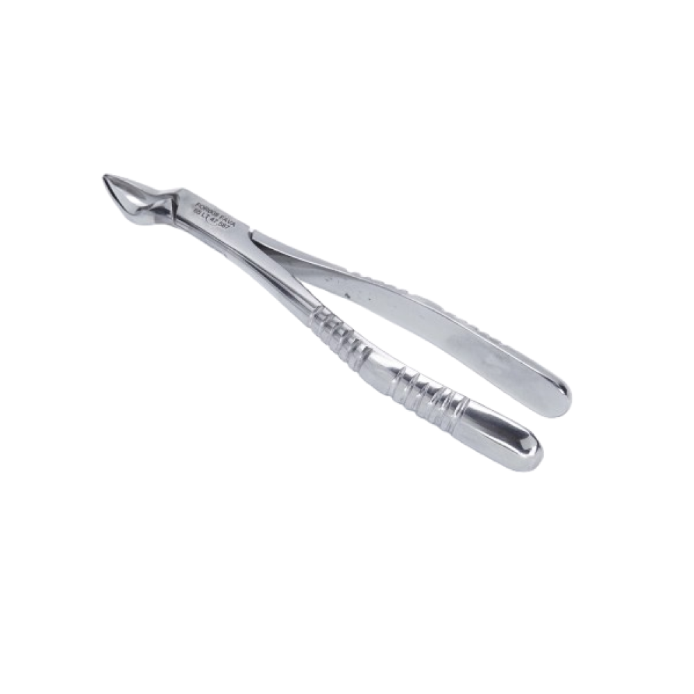 Forceps 65 - Adulto